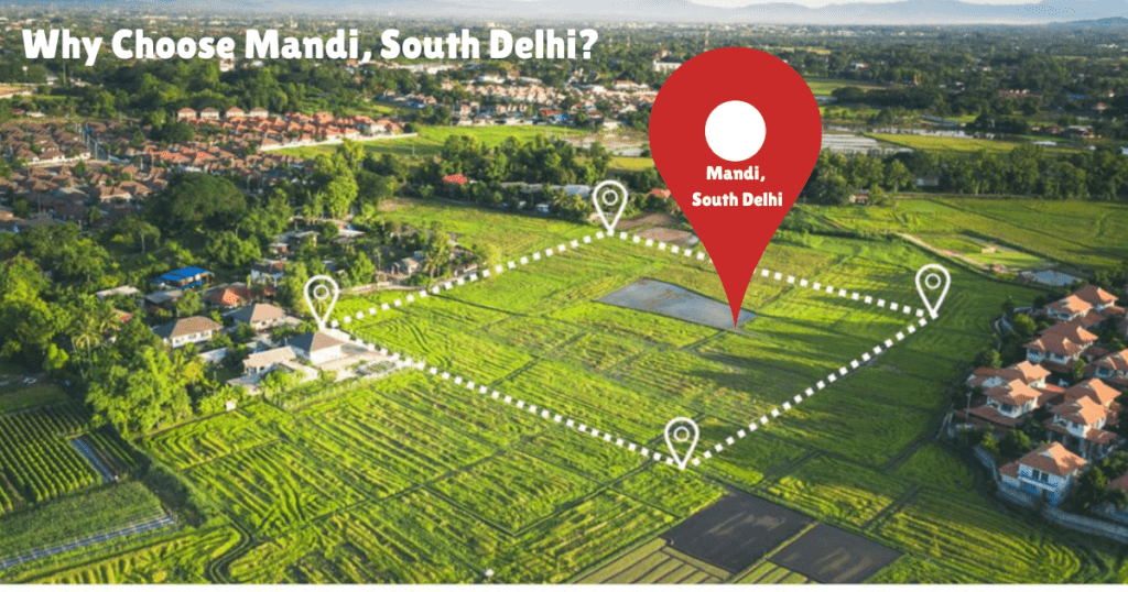 Why Choose Mandi, South Delhi?
